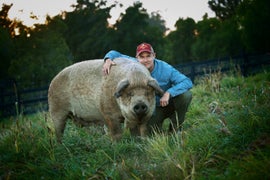 ‘The Biggest Little Farm’ Film Review: Inspirational Farm Tale Avoids Complicated Issues