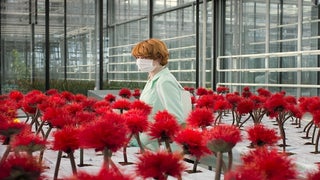 ‘Little Joe’ Film Review: Horticultural Horror Flick Is a Gonzo Genre Freakout