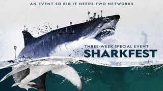 Nat Geo’s ‘SharkFest’ Now Measures in at 3 Weeks Long – and Has Cannibal Sharks (Exclusive Video)