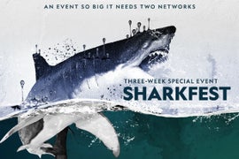 Nat Geo’s ‘SharkFest’ Now Measures in at 3 Weeks Long – and Has Cannibal Sharks (Exclusive Video)