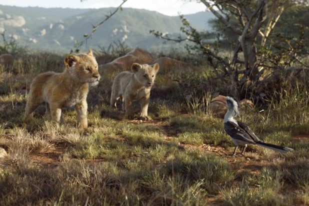 Image result for the lion king 2019 images