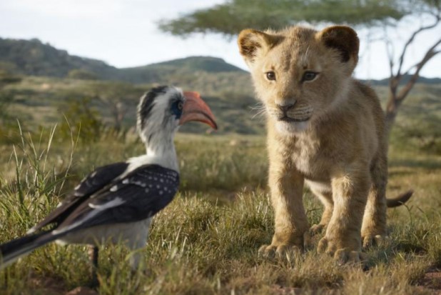 The Lion King Zazu Simba The Lion King Zazu Simba