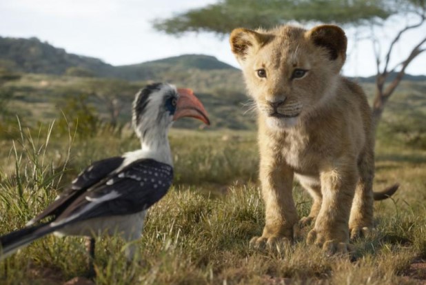 The Lion King Zazu Simba