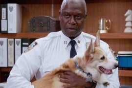Stewart, Dog Who Played Cheddar on ‘Brooklyn Nine-Nine,’ Dies at 13