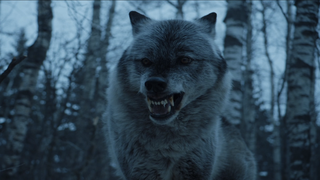 George RR Martin Says ‘Game of Thrones’ Prequel Includes the Starks, Direwolves and White Walkers
