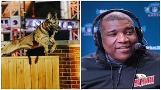 Curt Menefee to Host ‘America’s Top Dog’ K9 Competition Show on A&E