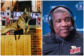 Curt Menefee to Host ‘America’s Top Dog’ K9 Competition Show on A&E