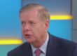 Lindsey Graham on Fox News