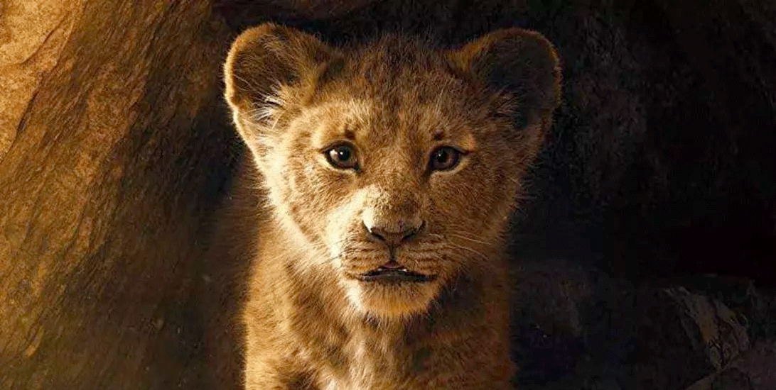 PAYWALL ONLY: the lion king