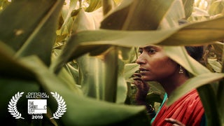 ShortList 2019: ‘The Field’ Director on How She Found Radical Intimacy Amid Indian Cornstalks