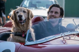 ‘The Art of Racing in the Rain’ Film Review: Kevin Costner Voices Philosophical Dog In Standard-Issue Weeper