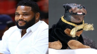 ‘Masked Singer’ Season 2 Gets Anthony Anderson, Triumph the Insult Comic Dog as Guest Judges