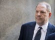 Harvey Weinstein