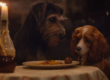 Lady and the Tramp