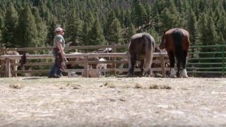 Discovery’s ‘River of No Return’ to Pull Scene Where Cast Member Hits Horse With a Hammer (Exclusive)