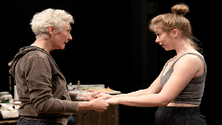 ‘The Michaels’ Theater Review: Dinner Is Served Yet Again, Richard Nelson-Style