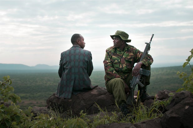 When Lambs Become Lions Film Review Elephant Poaching Gets