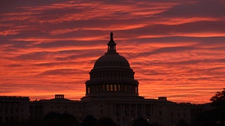 Watch the Trump Impeachment Inquiry Hearings Via Livestream (Video)