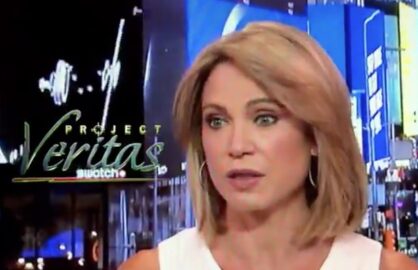 Amy Robach S 2015 Reporting On Jeffrey Epstein Won T Be Included In Abc News Special