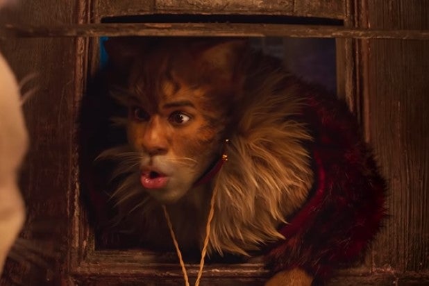 Jason Derulo Cats 2019 Jason Derulo Cats 2019