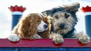 ‘Lady and the Tramp’ Film Review: Doggy Love Story Retains Charm in Live-Action Remake