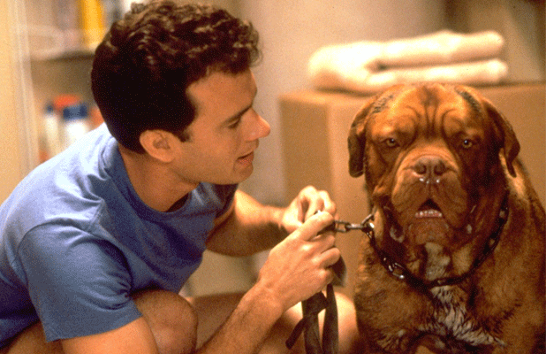 turner et hooch