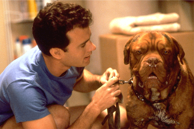 turner and hooch hooch