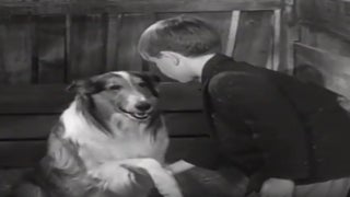 CBS All Access Fetches New ‘Lassie,’ ‘George of the Jungle’ and ‘Mr Magoo’ Animated Series