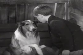 CBS All Access Fetches New ‘Lassie,’ ‘George of the Jungle’ and ‘Mr Magoo’ Animated Series