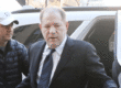 harvey weinstein