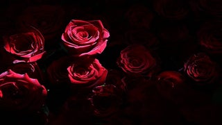 ABC Spins Off ‘The Bachelor’ Again – This Time for Senior Citizens