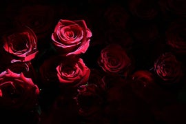 ABC Spins Off ‘The Bachelor’ Again – This Time for Senior Citizens
