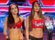 Nikki Bella Brie Bella Twins WWE Hall of Fame