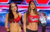 Nikki Bella Brie Bella Twins WWE Hall of Fame