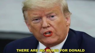 Randy Rainbow Lists Trump’s Many Transgressions in Dua Lipa Song Parody (Video)