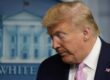 Donald Trump coronavirus press briefing