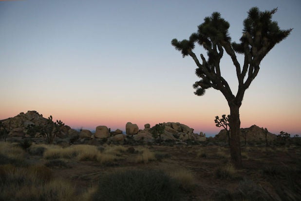 Joshua Tree National Park
