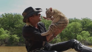 ‘Tiger King’: Find Out ‘What Really Went Down’ in TMZ Follow-Up Special to Air on Fox