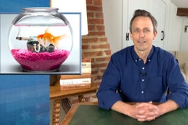 Seth Meyers: ‘Trump Has the Memory of a Goldfish Who Smokes Weed’ (Video)