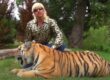 Tiger King Joe Exotic
