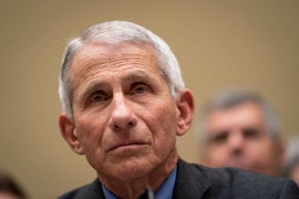 How to Watch Dr. Anthony Fauci’s Senate Testimony on Coronavirus Response (Video)