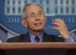 Anthony Fauci