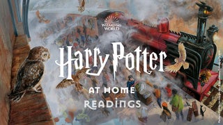 Daniel Radcliffe, David Beckham, Dakota Fanning to Narrate ‘Harry Potter and the Sorcerer’s Stone’ on Spotify