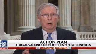 Mitch McConnell Admits He Just Doesn’t Know Anything About Obama’s Pandemic Playbook (Video)