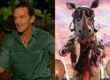 survivor masked singer