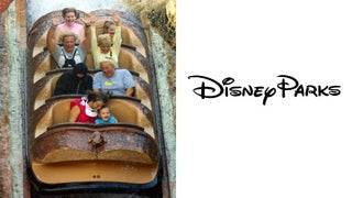 Disney Revamps Splash Mountain Theme Park Ride Amid Outcry Over ‘Song of the South’ Ties