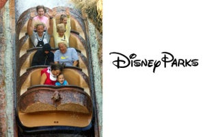Splash Mountain Disney Parks