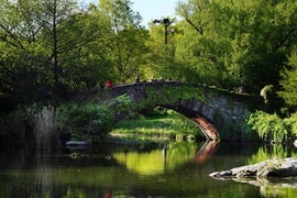 Central Park Dog Walker Amy Cooper Faces Charges for Falsely Reporting an Incident