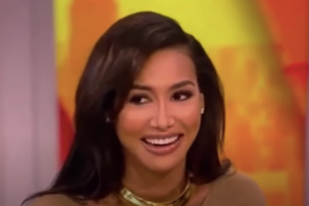 Naya Rivera Update: Sheriff Shares Video of Low Lake Visibility - TheWrap