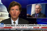 tucker carlson is crying about fauci again